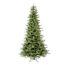 10' x 72" Fresh Balsam Fir Tree