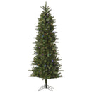 12' x 52" Carolina Pencil Spruce Tree