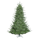 9' x 80'' Sheridan Spruce Tree