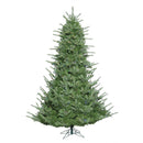 9' x 80'' Sheridan Spruce Tree