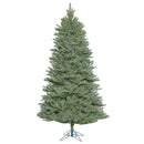 9' x 62'' Slim Colorado Spruce Tree
