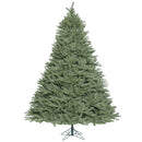 14' x 106'' Colorado Spruce Tree