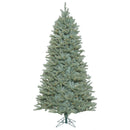 12' x 80'' Slim Colorado Blue Spruce Tree