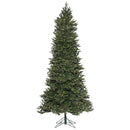 9' x 55'' Hudson Spruce Tree