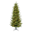 9' x 56" Hoboken Frasier Fir Tree